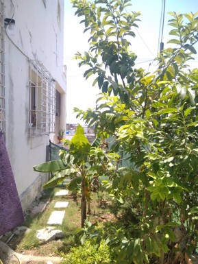 Detached House with 5 bedrooms for sale in Almendares, Playa, La Habana