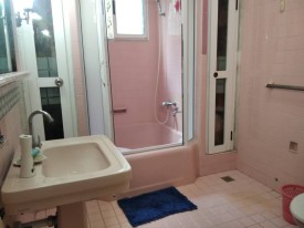 House with 4 bedrooms for sale in Vedado, Plaza de la Revolución, La Habana - 21