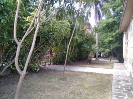 House with 4 bedrooms for sale in Vedado, Plaza de la Revolución, La Habana - 7