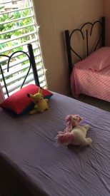 Apartamento de 1 habitación en venta en Cruz Verde, Cotorro, La Habana - 13