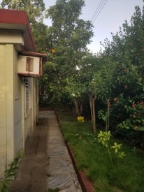 Detached House with 3 bedrooms for sale in Nueva Gerona, Isla de la Juventud - 7