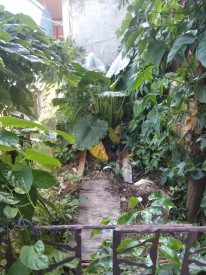 Apartment with 2 bedrooms for sale in Nuevo Vedado, Plaza de la Revolución, La Habana - 14