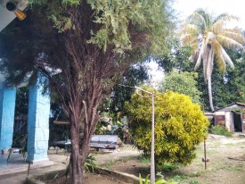 Casa Independiente de 2 habitaciones en venta en Las Cañas, Cerro, La Habana - 39