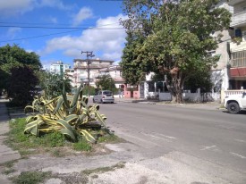 Casa Independiente de 2 habitaciones en venta en Las Cañas, Cerro, La Habana - 48