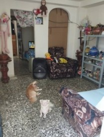 Apartamento de 2 habitaciones en venta en Vedado, Plaza de la Revolución, La Habana