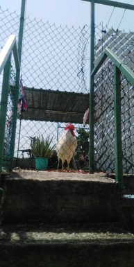 House with 2 bedrooms for sale in El Canal, Cerro, La Habana
