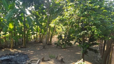 Casa Independiente de 4 habitaciones en venta en Bacuranao, Guanabacoa, La Habana