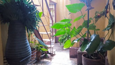 Apartment with 4 bedrooms for sale in Vedado, Plaza de la Revolución, La Habana