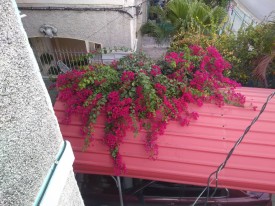 Biplanta de 3 habitaciones en venta en Vedado, Plaza de la Revolución, La Habana - 3