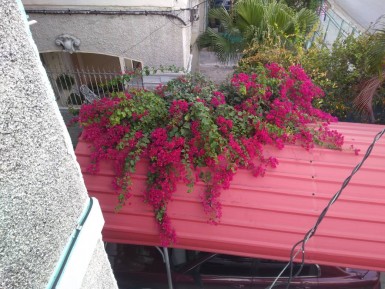 Biplanta de 3 habitaciones en venta en Vedado, Plaza de la Revolución, La Habana