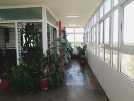 Apartment with 5 bedrooms for sale in Nuevo Vedado, Plaza de la Revolución, La Habana - 5