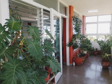 Apartment with 5 bedrooms for sale in Nuevo Vedado, Plaza de la Revolución, La Habana
