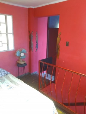 latest property
