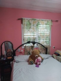 Detached House with 3 bedrooms for sale in Rodeo, San Luis, Pinar del Río - 21