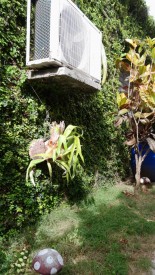 Detached House with 2 bedrooms for sale in Matanzas - 18