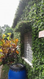 Detached House with 2 bedrooms for sale in Matanzas - 20
