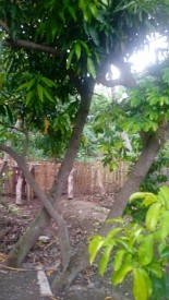 Casa Independiente de 3 habitaciones en venta en Julio Antonio Mella, Camagüey - 5