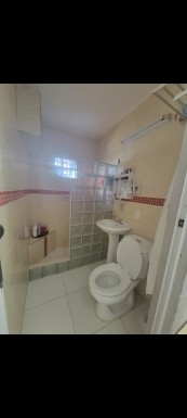 latest property